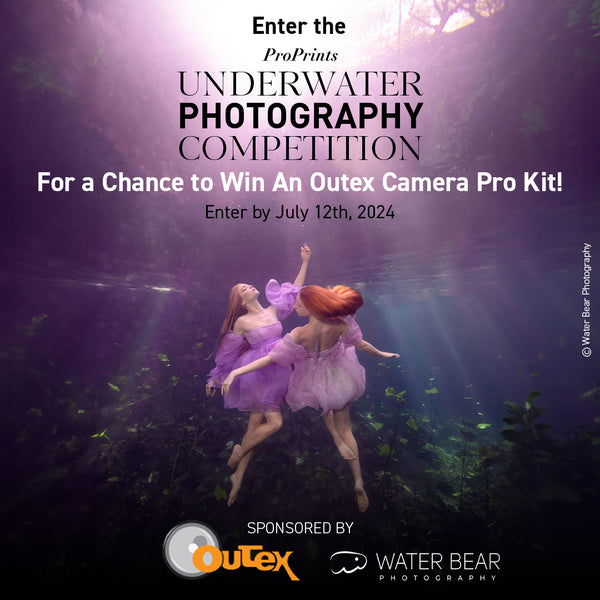 Summer 2024 Underwater Photo Contest Winners Announced