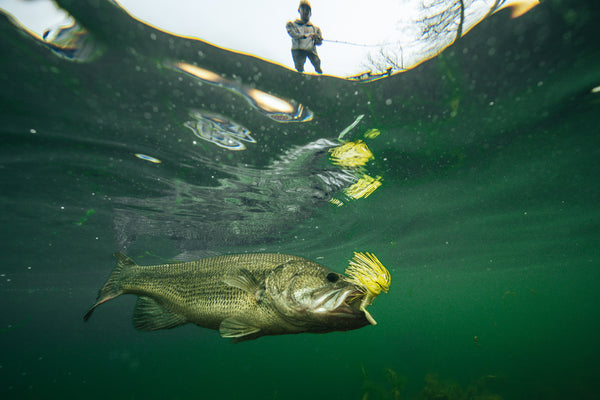 Underwater shot of a fish caught on a lure, taken with the Outex Camera Pro Kit as an angler fishes above.