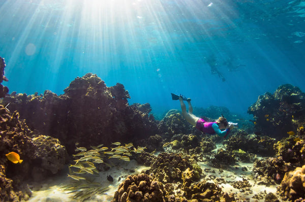 Outex Academy - Basics Package