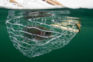 Why I made the change to Outex Water Housing by Neal Lally