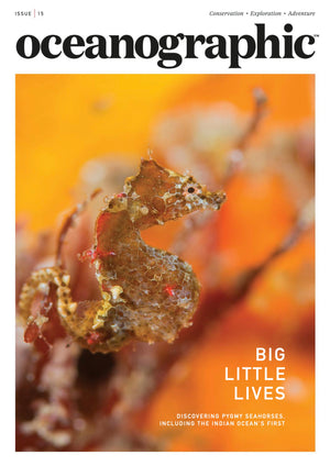 Outex at the Stunning Ocean Photography Awards & Oceanographic Magazine