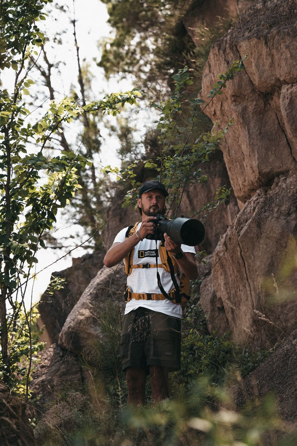 Finding Creative Freedom Beneath the Surface: Henrik Wergeland’s Imaging Story