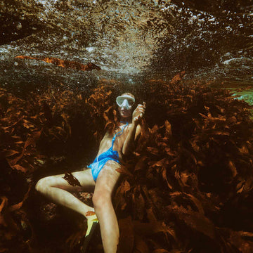 Damon Loble Transforms Underwater Imaging into Fine Art