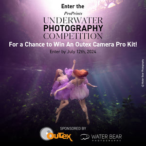 Summer 2024 Underwater Photo Contest Winners Announced