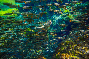 TV Hostess, Adventurer, Doctor Karina Oliani Reviews Outex Underwater Housing System