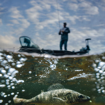 "How Matt Addington Gets Insane Underwater Shots in the Wild—Without a Heavy Rig"
