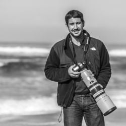 Daniel Bommarito