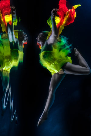 2020 WPPI Underwater Photography Class with Daniel Woods
