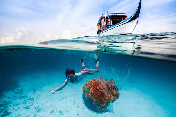 Underwater Photography Tutorial, Tips, Tricks from Outex Underwater Housing Systems