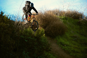 122098233 - mountain bike