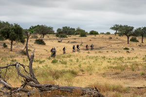 A group of cyclists rides along a dirt trail through a dry, grassy landscape dotted with trees under a cloudy sky.