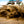 Kit appareil photo professionnel