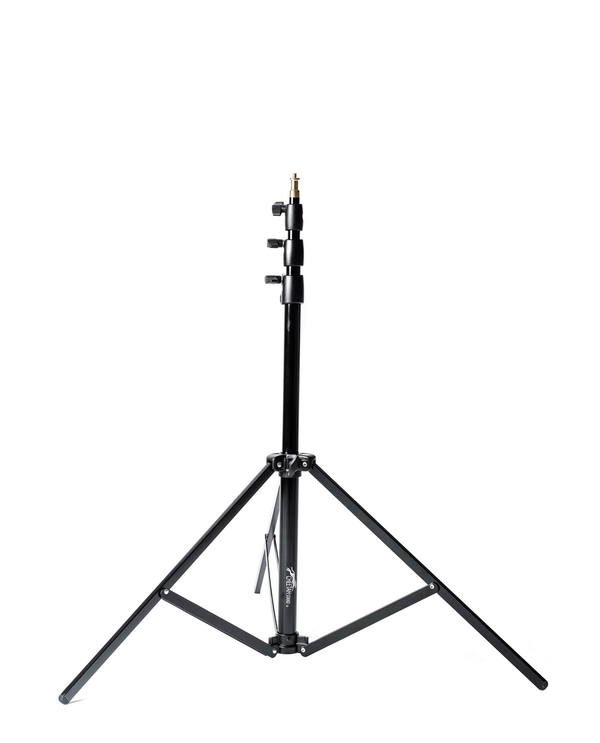 Cheetah Stand C10