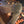 Couvertures