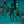 Kids Swimming Team