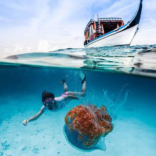 Outex Diving Image 2